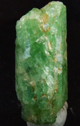 Diopside with Apatite
Burma
24 x 7 mm approx (Author: nurbo)