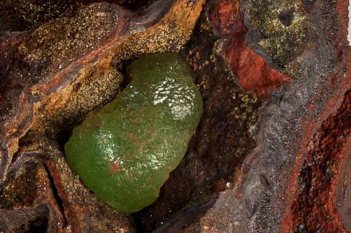 Adamita cuprífera
Mina Ojuela, Mapimí, Durango, México
7x5 cm
Detalle de la anterior (Autor: victor chaul chamut)