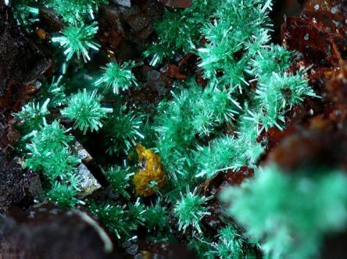 Brochantita
Mina Estrella, Barranco Jaroso, Almería, España
4 mm. (Autor: josminer)