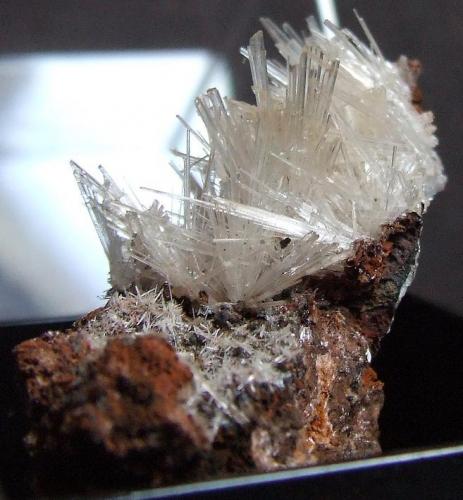 Scholzite, 
Reaphook Hill, Martins Well, South Australia, Australia.
40 x 20 mm (Author: nurbo)