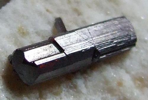 Rutile
Carvers Claim, Wadnamuka, South Australia, Australia.
Rutile crystal 7 mm (Author: nurbo)