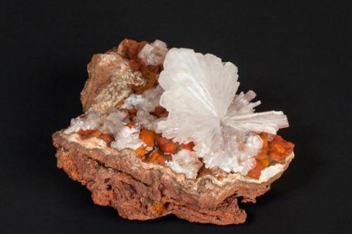 Hemimorfita
Mina Ojuela, Mapimí, Durango, México
8x7 cm (Autor: victor chaul chamut)