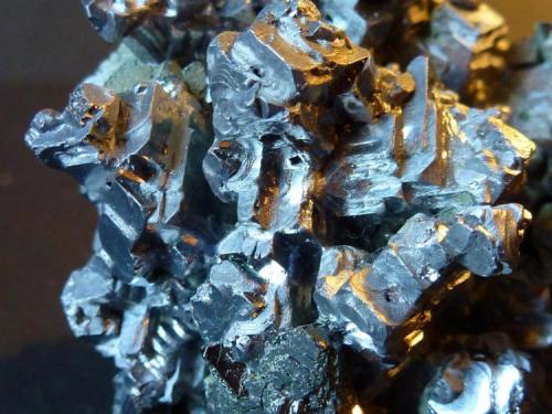 Galena
Mina Krushev Dol, Madan, Rhodep Mts., Smolyan, Bulgaria
6 x 6 cm.

Detalle (Autor: javier ruiz martin)