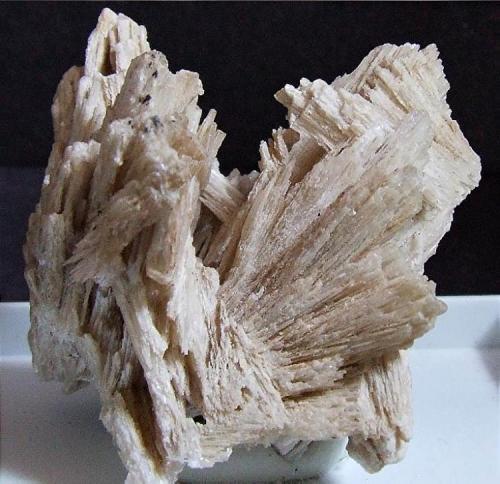 Cerrusite
South mine, Broken Hill,, Yankowinna Co, NSW, Australia.
35 x 30 mm (Author: nurbo)