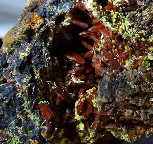 Crocoite and Pyromorphite
Platts Prospect, Zeehan District, Dundas Tasmaania.
FOV 20 x 15 mm approx (Author: nurbo)