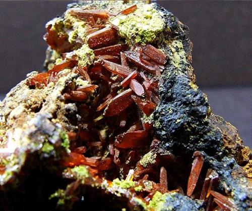 Crocoite and Pyromorphite
Platts Prospect, Zeehan District, Dundas Tasmania
FOV 20 x 20 mm approx (Author: nurbo)