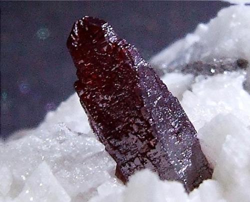 Cinnabar on Dolomite
Fenghuang Co, Hunan Province, China.
Cinnabar crystal 10 mm (Author: nurbo)