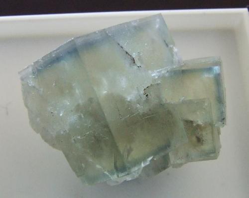 Fluorite,
Allison Pocket, Flatt Drift, West Pasture, Stanhope, Weardale, Co Durham, England, UK.
25 x 20 mm (Author: nurbo)