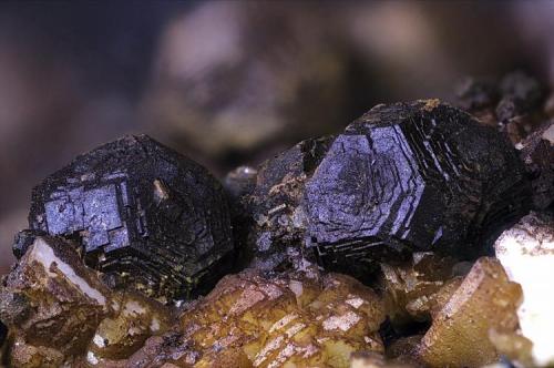 Pirita pseudomorfizada de limonita.
Adra, Almería, Andalucía, España.
Campo de visión 11 mm. (Autor: Juan Miguel)