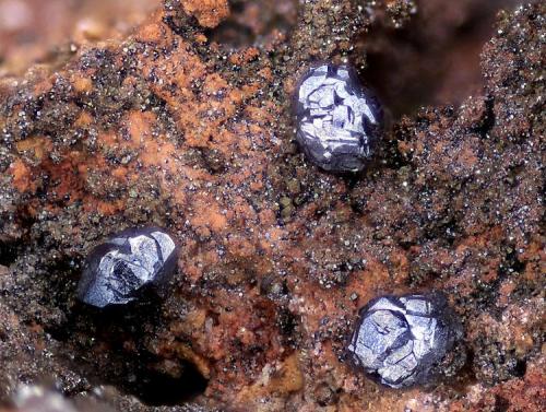 Magnetita.
Puy de Tuniset, Puy de Dôme, Francia.
Campo de visión 1,8 mm. (Autor: Juan Miguel)