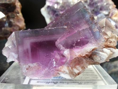 Fluorita
Berbes, Asturias, España
10x7 cm, cristales de 4 cm (Autor: Raul Vancouver)