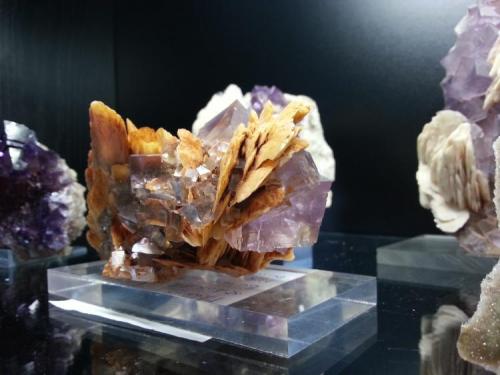 Barita, Fluorita
Berbes, Asturias, España
13x9, cristales de hasta 3cm

Detalle de la parte posterior (Autor: Raul Vancouver)