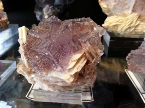 Barita, Fluorita
Berbes, Asturias, España
7x5cm, cristales 3cm. (Autor: Raul Vancouver)