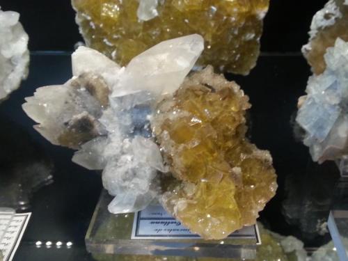 Calcita, Fluorita
Mina Moscona, Solis, Asturias, España
15x12, cristal de 4cm (Autor: Raul Vancouver)