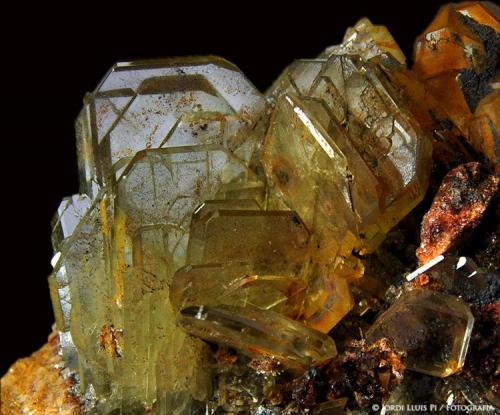 Cristales de Baritina
Cerro Warihuyn, Miraflores, Huamalias, Huanuco, Perú
6 x 5 x 5 cms.
Detalle del grupo de cristales ampliado. (Autor: Jordi Lluis Pi)
