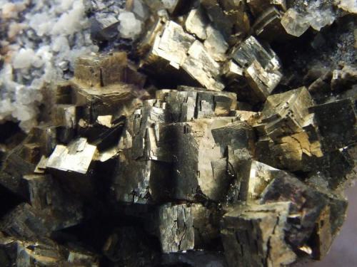 Pyrite
Smallcleugh Sun Vein, Smallcleugh Mine,Nenthead, Cumbria, England, UK.
FOV 15 x 12 mm approx (Author: nurbo)