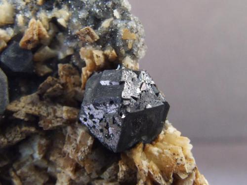 Galena on Dolomite,
Incline Flats, Smallcleugh mine, Nenthead, Cumbria, England, UK.
Galena to 7mm (Author: nurbo)
