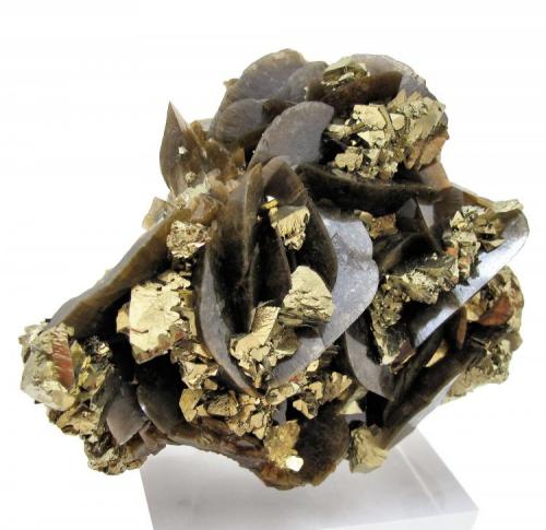 Chalcopyrite, siderite
Kaiwu Mine, Hezhang, Bijie, Guizhou, China
95 mm x 78 mm (Author: Carles Millan)
