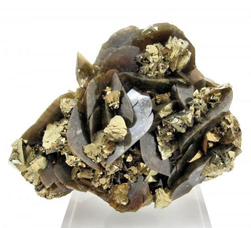Chalcopyrite, siderite
Kaiwu Mine, Hezhang, Bijie, Guizhou, China
95 mm x 78 mm (Author: Carles Millan)