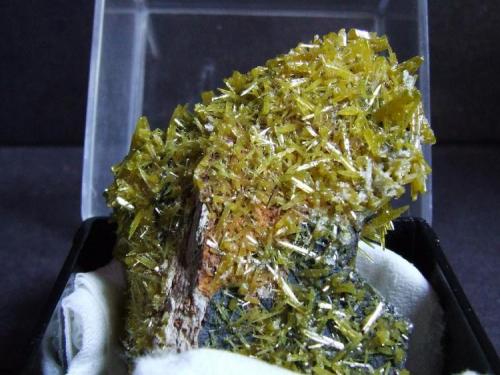 Pyromorphite
Blackwoods O/C, Broken Hill, NSW, Australia
40 x 30 mm (Author: nurbo)