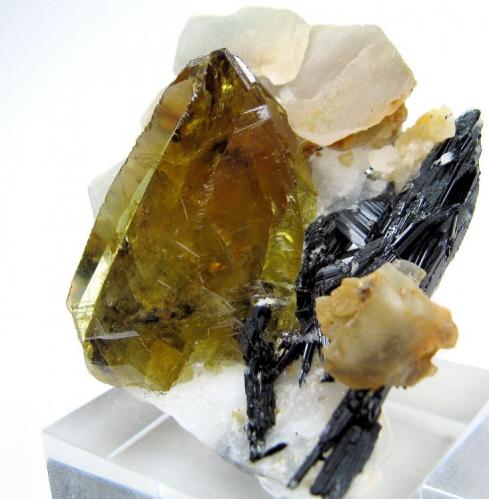 Titanite, schorl, calcite
Tormiq Valley, Haramosh Mts., Skardu, Gilgit-Baltistan, Pakistan
49 mm x 47 mm (Author: Carles Millan)