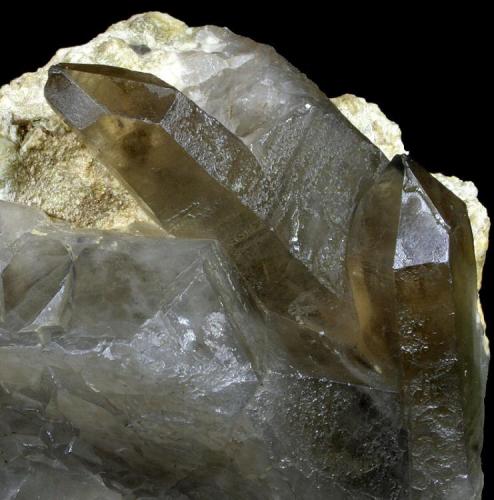 Smoky quartz
Los Alisos W Quarry, Los Alisos, Valdemanco, Madrid, Spain
17x15 cm.
Adquired in March of 2011
Fot. & Col. Juan Hernandez.

Detail of the previous specimen (Author: supertxango)