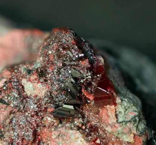 Cinabrio.
Mina Las Cuevas, Almadén, Ciudad Real, Castilla La Mancha, España.
Grupo de cristales  de 0,5 cm. (Autor: Antonio Carmona)