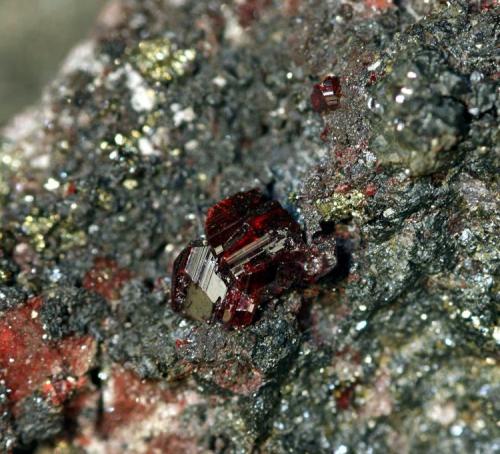 Cinabrio.
Mina Las Cuevas, Almadén, Ciudad Real, Castilla La Mancha, España.
Cristal mayor de 0,4 cm. (Autor: Antonio Carmona)