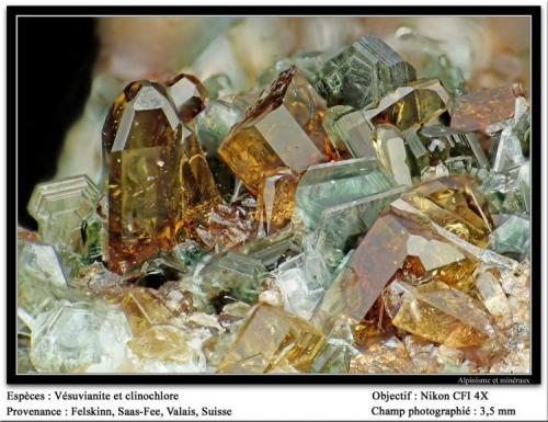 Vesuvianite
Felskinn, Fee Glacier, Saas Fee, Zermatt, Wallis, Switzerland
fov 3.5 mm (Author: ploum)