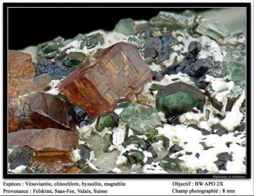 Vesuvianite
Felskinn, Fee Glacier, Saas Fee, Zermatt, Wallis, Switzerland
fov 8mm (Author: ploum)