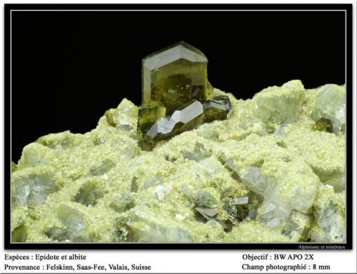 Epidote
Felskinn, Fee Glacier, Saas Fee, Zermatt, Wallis, Switzerland
fov 8 mm (Author: ploum)