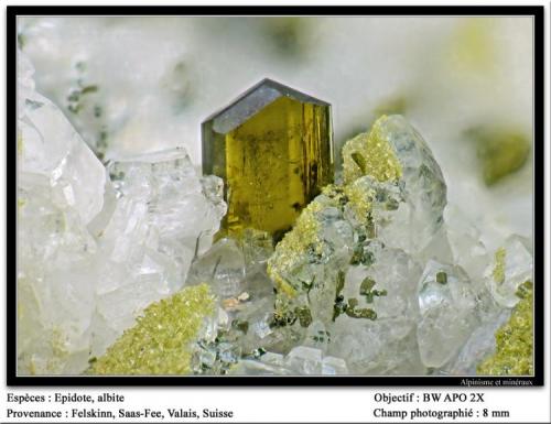 Epidote
Felskinn, Fee Glacier, Saas Fee, Zermatt, Wallis, Switzerland
fov 8 mm (Author: ploum)