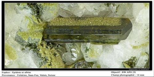 Epidote
Felskinn, Fee Glacier, Saas Fee, Zermatt, Wallis, Switzerland
fov 14 mm (Author: ploum)