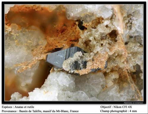 Anatase et rutile
Talèfre glacier, Mont Blanc, Chamonix, Haute-Savoie, Rhône-Alpes, France
fov 4 mm (Author: ploum)