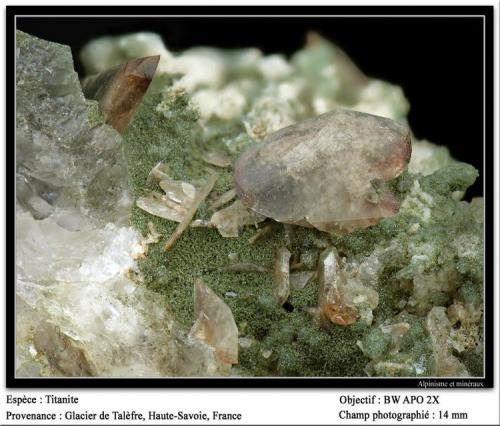 Titanite
Talèfre glacier, Mont Blanc, Chamonix, Haute-Savoie, Rhône-Alpes, France
fov 14 mm (Author: ploum)