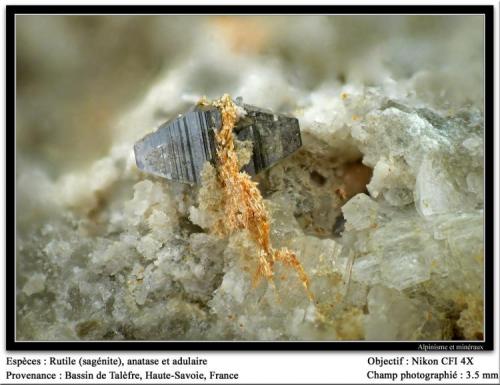 Anatase et rutile
Talèfre glacier, Mont Blanc, Chamonix, Haute-Savoie, Rhône-Alpes, France
fov 3,5 mm (Author: ploum)