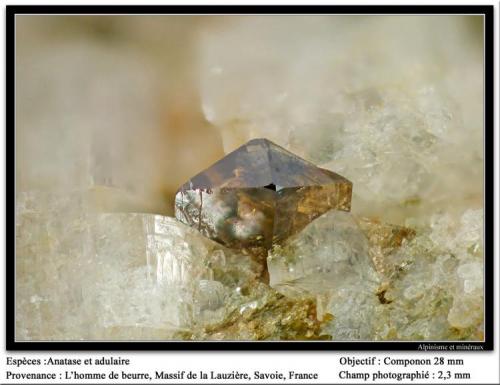 Anatase
L’Homme de Beurre, La Lauzière massif, Savoie, Rhône-Alpes, France
fov 2.3 mm (Author: ploum)