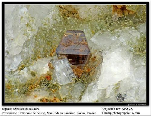 Anatase
L’Homme de Beurre, La Lauzière massif, Savoie, Rhône-Alpes, France
fov 6 mm (Author: ploum)