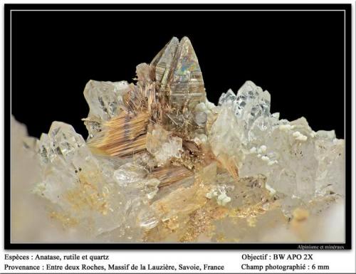 Anatase et rutile
Entre deux Roches, La Lauzière massif, Savoie, Rhône-Alpes, France
fov 6 mm (Author: ploum)