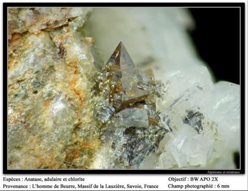 Anatase
L’Homme de Beurre, La Lauzière massif, Savoie, Rhône-Alpes, France
fov 6 mm (Author: ploum)