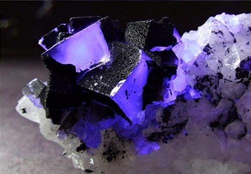 Fluorite on Quartz with Marcasite,
Frasers Hush Mine,Rookhope, Weardale, Co Durham, England, UK
Fluorite to.9 mm (Author: nurbo)