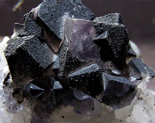 Fluorite on Quartz with Marcasite,
Frasers Hush Mine,Rookhope, Weardale, Co Durham, England, UK.
Fluorite to 9mm (Author: nurbo)