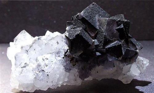 Fluorite on Quartz with Marcasite,
Frasers Hush Mine,Rookhope, Weardale, Co Durham, England, UK.
50 x 30 mm (Author: nurbo)