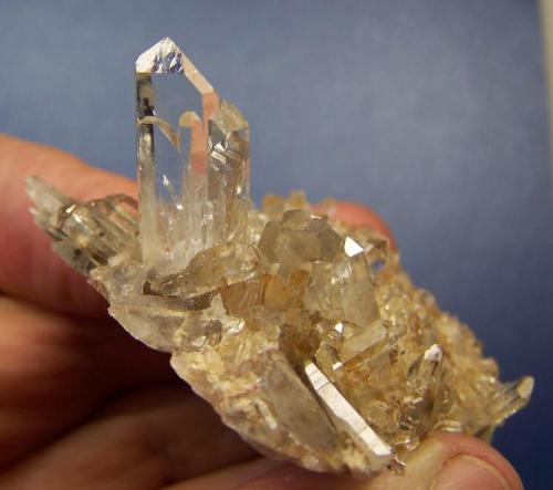 Quartz
Ceres, Western Cape, SA
66 x 48 x 23 mm
This lovely group of clear quartz crystals, was removed (with gentle, patient care, by my wife) from a small pocket in sandstone about a km from our home. (Author: Pierre Joubert)