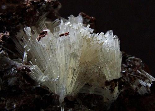 Scholzite, 
Reaphook Hill, Martins Well, South Australia, Australia.
Scholzite to 16 mm (Author: nurbo)