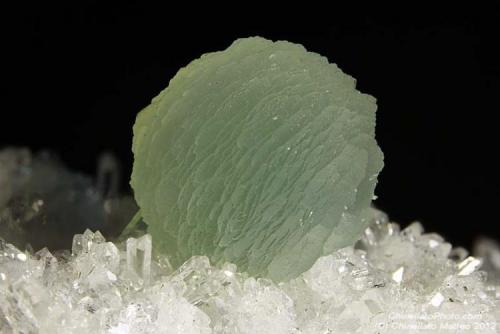 Prehnite
Lower New Street quarry, Paterson, Passaic Co., New Jersey, USA
9.99 mm (Author: Matteo_Chinellato)