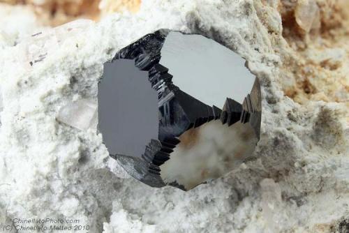 Bixbyite
Thomas Range, Juab Co., Utah, USA
7.94 mm (Author: Matteo_Chinellato)