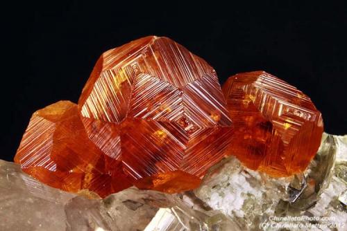 Spessartine
Tongbei, Yunxiao Co., Zhangzhou Prefecture, Fujian Province, China
9.04 mm group (Author: Matteo_Chinellato)