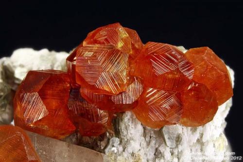 Spessartine
Tongbei, Yunxiao Co., Zhangzhou Prefecture, Fujian Province, China
12.31 mm group (Author: Matteo_Chinellato)