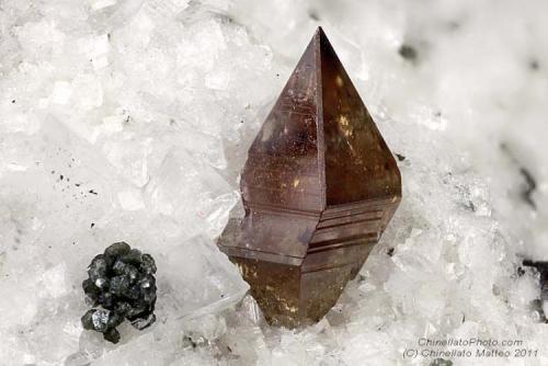 Anatase
Haupenscharte (Haupentalscharte), Haupen valley, Zamser Grund (Zams valley), Ziller valley, North Tyrol, Tyrol, Austria
2.95 mm (Author: Matteo_Chinellato)